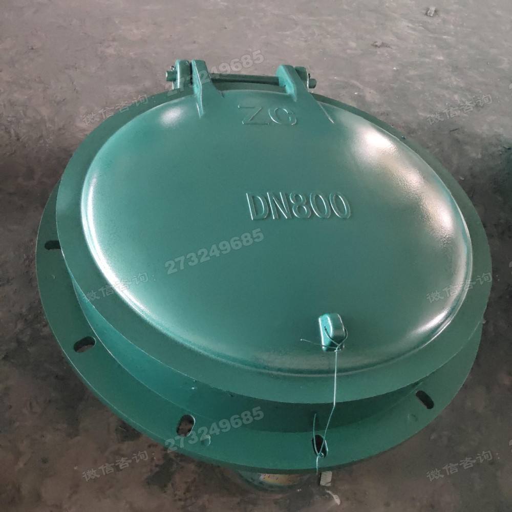 湘西州DN800绿色玻璃钢拍门