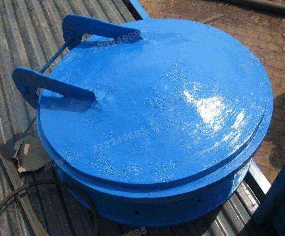 金华蓝色单开拍门