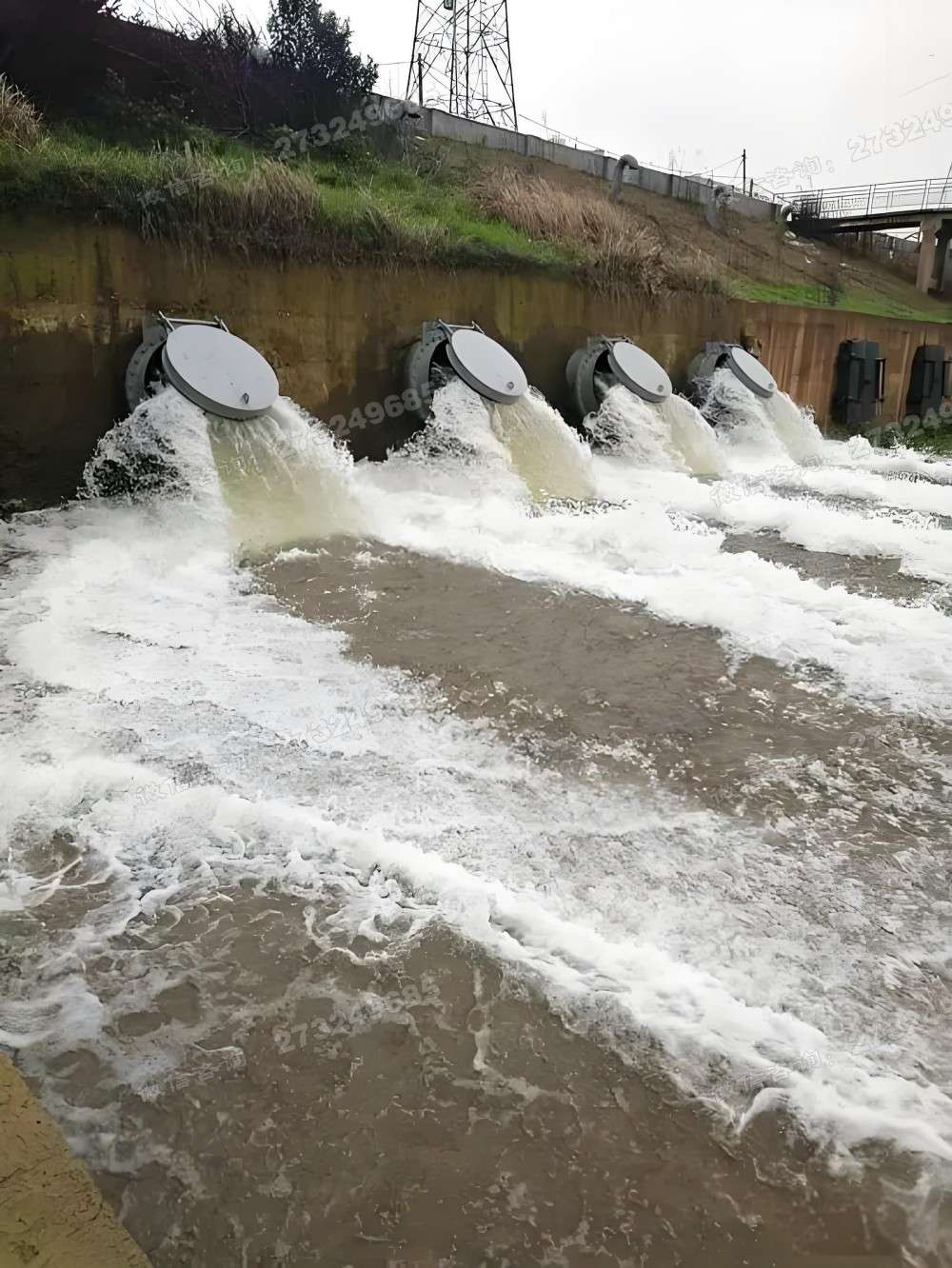 蒸湘河岸排水钢制拍门