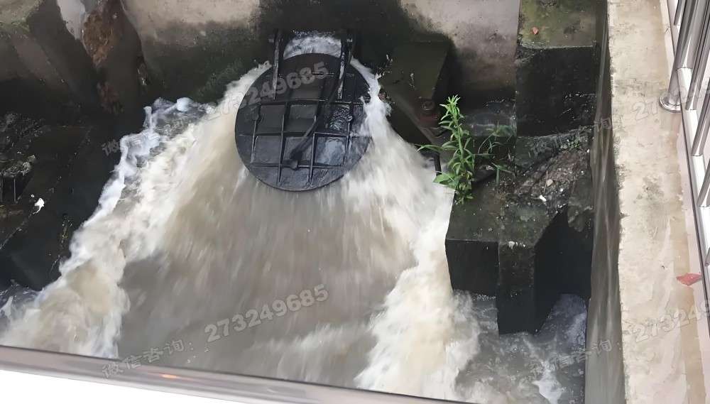 沿滩工业排水拍门