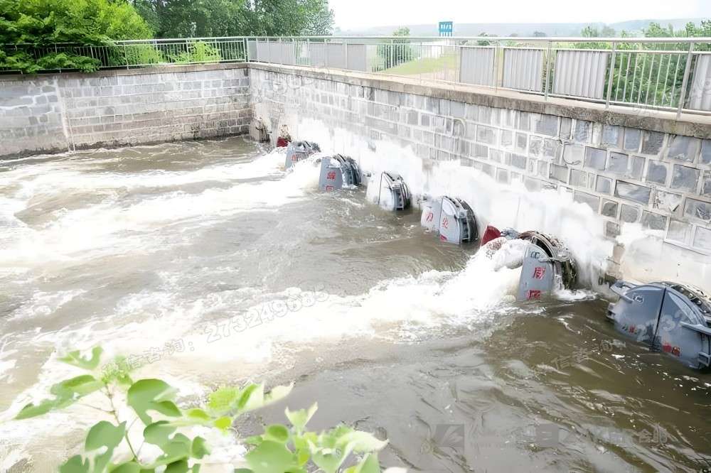 永善县河道治理侧开拍门