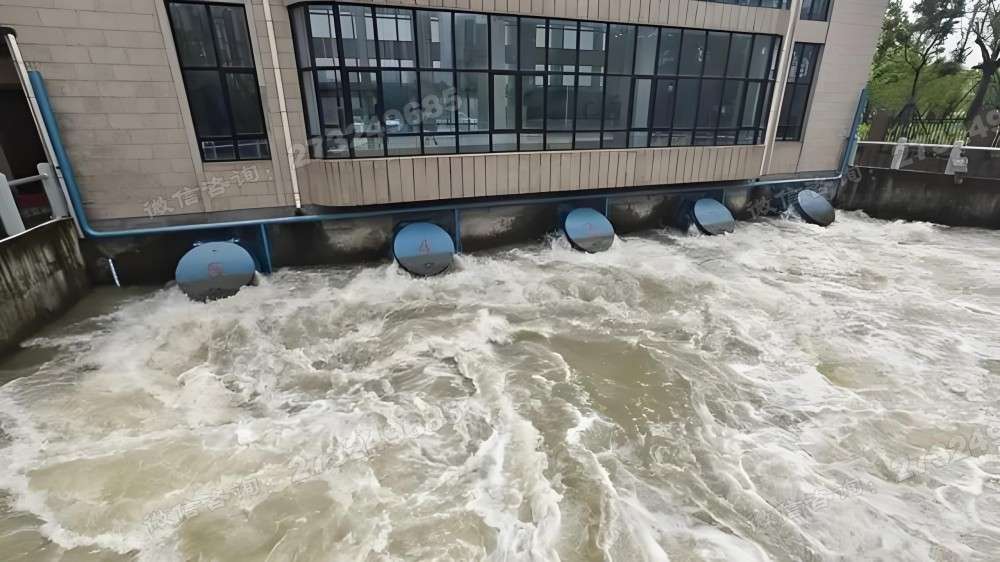 浙江泵站多联拍门