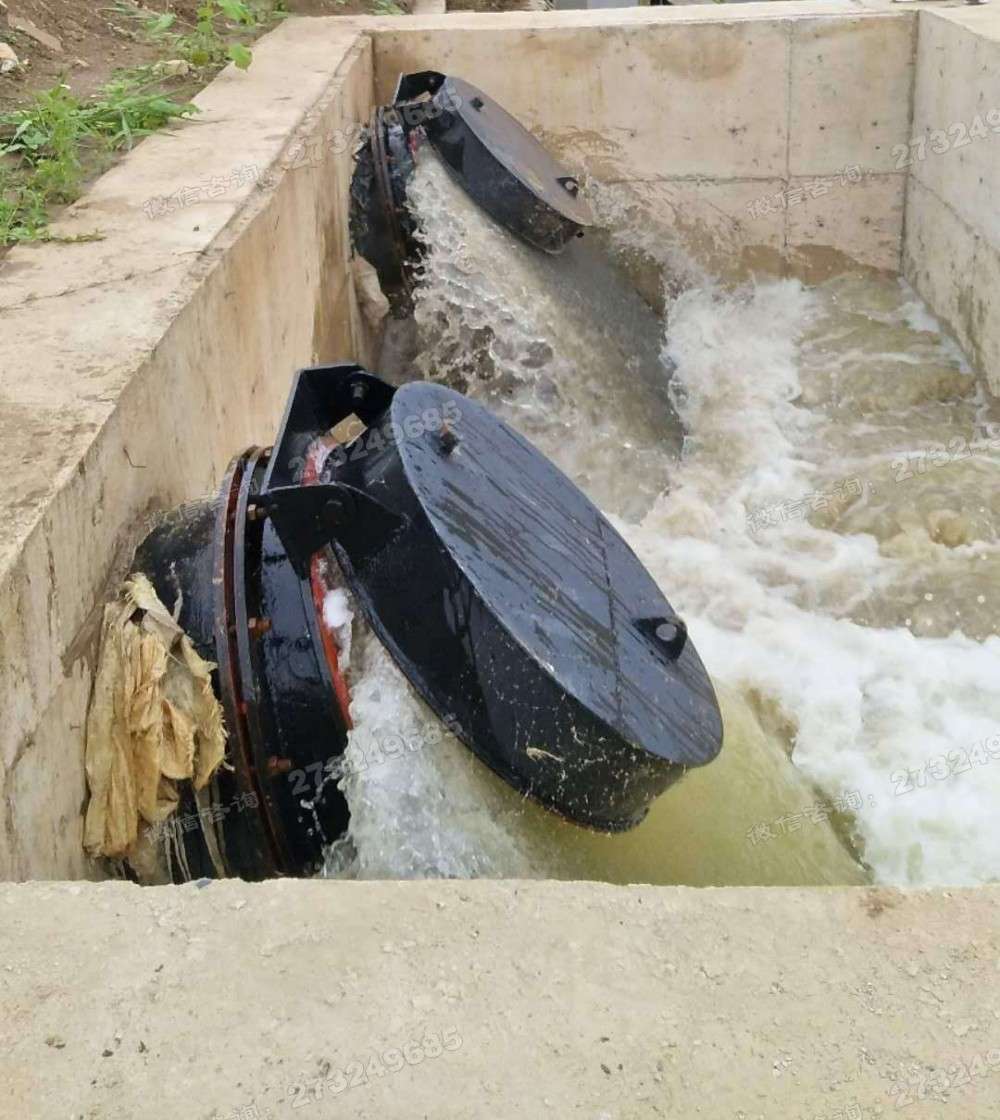 闻喜县河道排水拍门