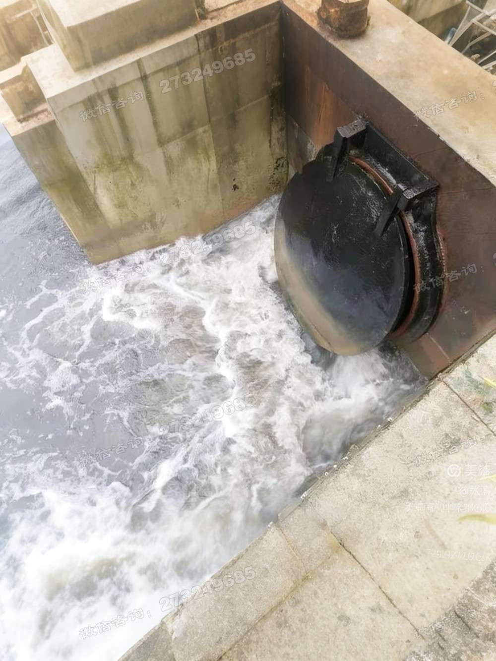 垫江县黑色铸铁排水拍门