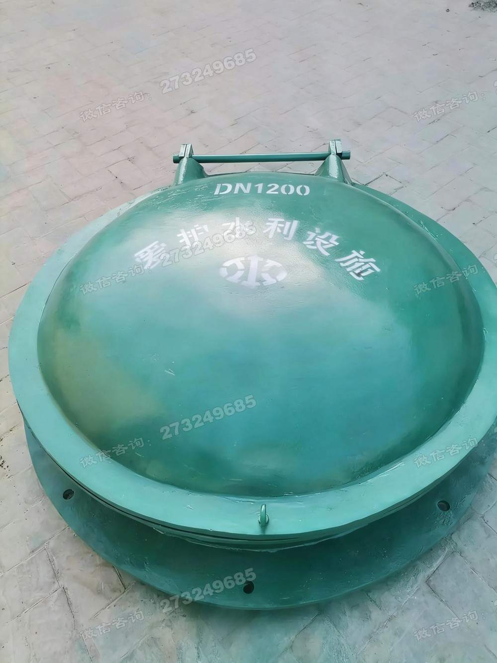 金华DN1200铸铁拍门