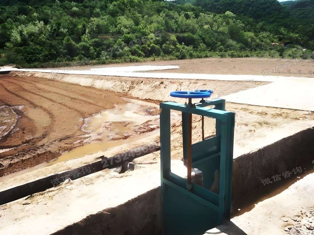 蒙城县绿色渠道铸铁闸门