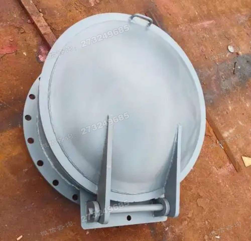 金安排水管道铸铁拍门