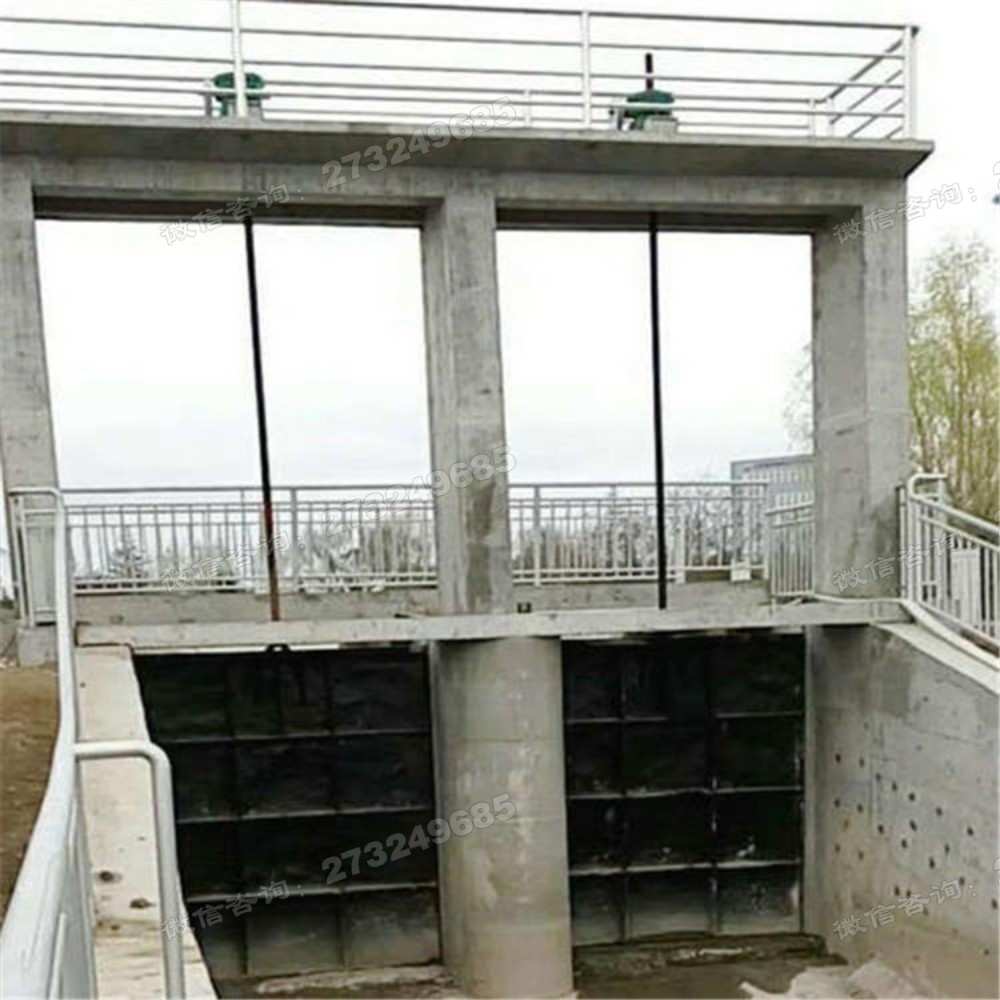 高唐县泵站双孔铸铁闸门